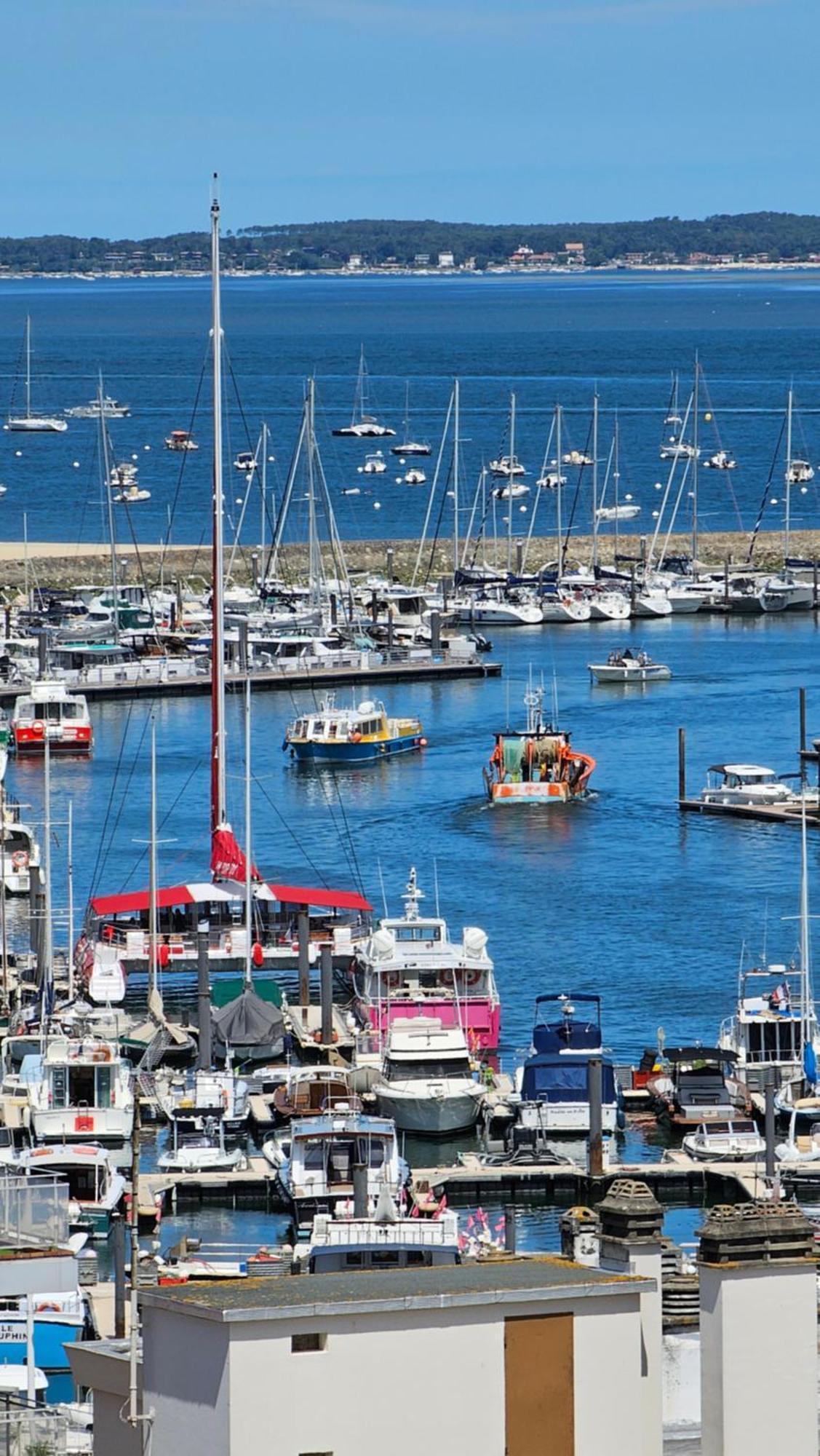 Vue Panoramique Sur Bassin,Piscine Et Terrasse Appartement Arcachon Buitenkant foto